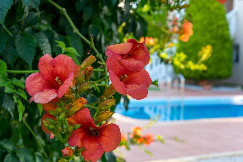 Villa Aretousa 2 *